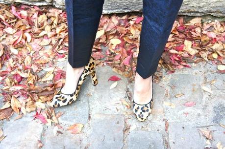 Image and video hosting by TinyPic