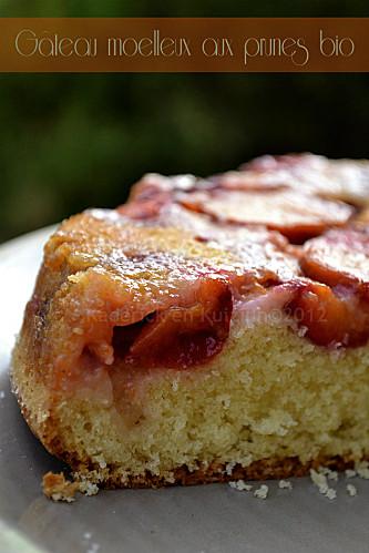 Degustation-gateau-moelleux-prunes-bio