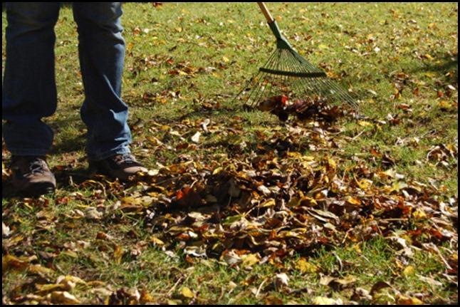 la semaine européenne de la réduction des déchets