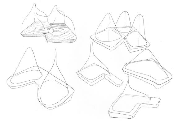 Collection Pinus Pinaster par Fabien Barrero