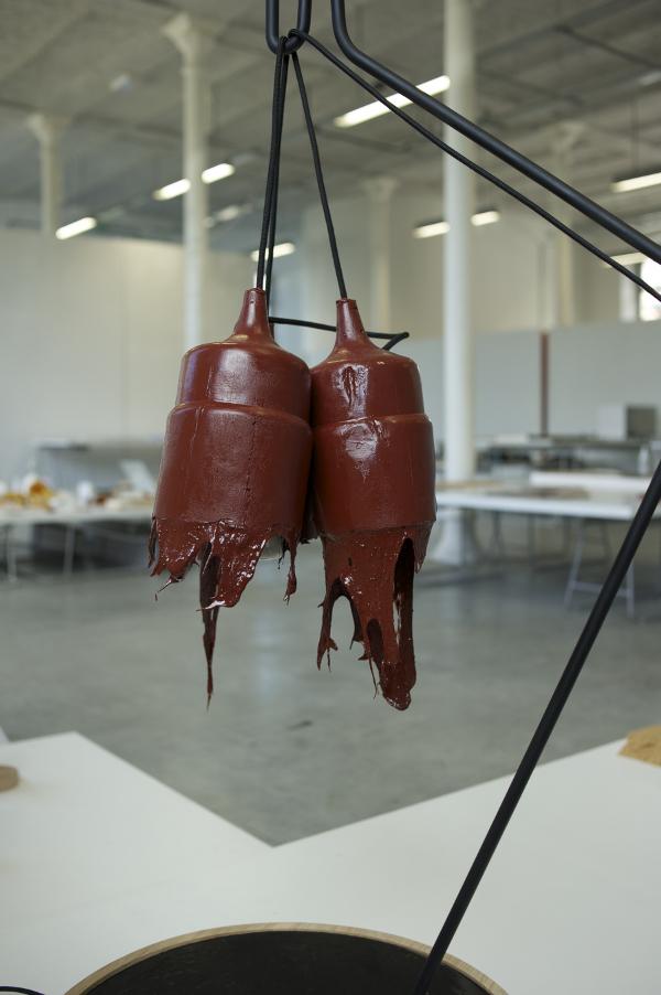 Collection Pinus Pinaster par Fabien Barrero