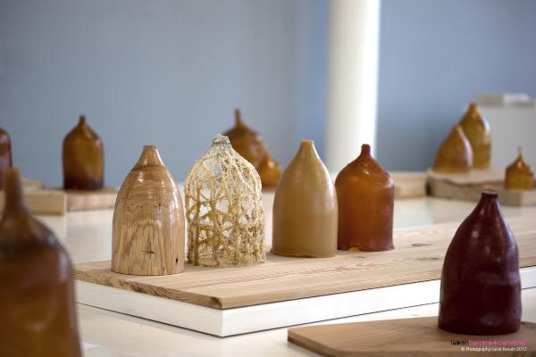 Collection Pinus Pinaster par Fabien Barrero