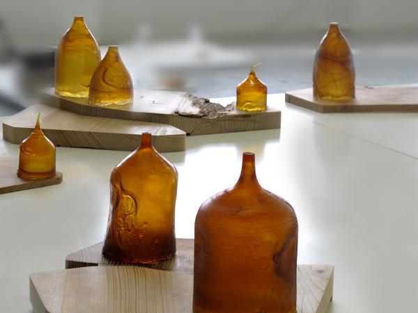 Collection Pinus Pinaster par Fabien Barrero