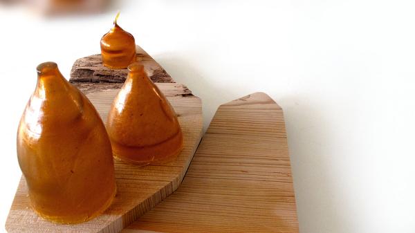 Collection Pinus Pinaster par Fabien Barrero