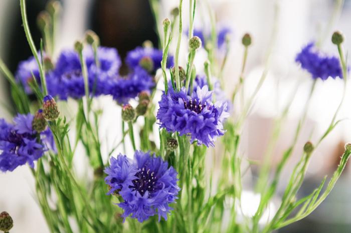 Pour le plaisir des yeux