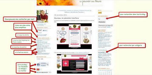 Le_pouvoir_des_fleurs_aide_01