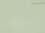 Quelques infos Notion Adam