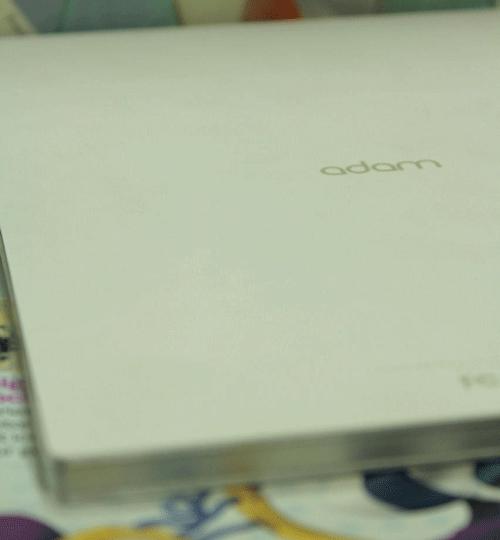 Quelques infos sur la Notion Ink Adam II