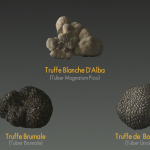 La Maison de la Truffe à Paris est aussi une brasserie !