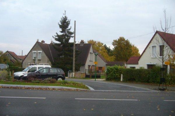 Nouvelle offensive de l'automne à Lomme : les feuilles des arbres s'enjaunissent encore davantage ou se couvrent d'or