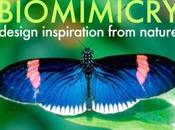Biomimétisme, nouveau point monde