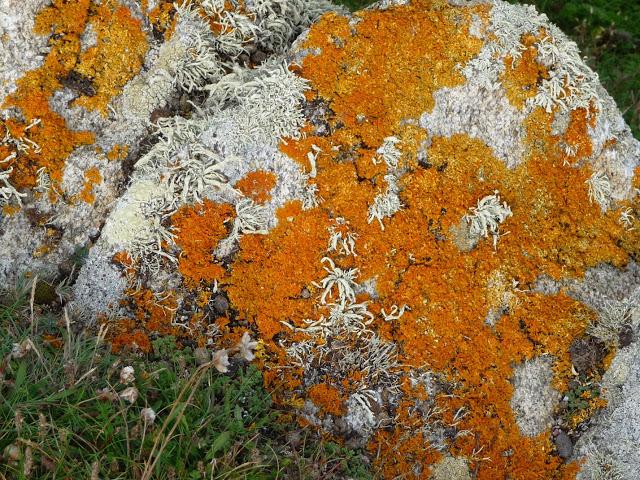 les questions sans trop y toucher