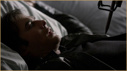 vlcsnap_2012_11_12_15h29m01s106