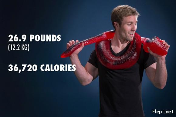 26Pound Edible Gummy Python 4