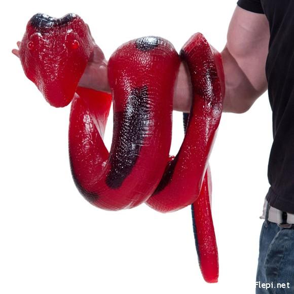 26Pound Edible Gummy Python