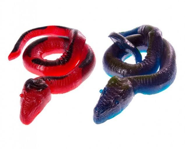 26Pound Edible Gummy Python 1 635x512