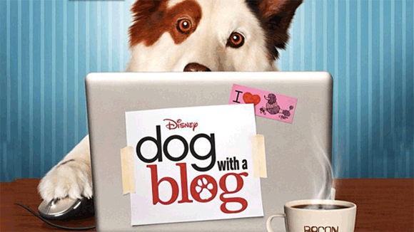 DogwithaBlog