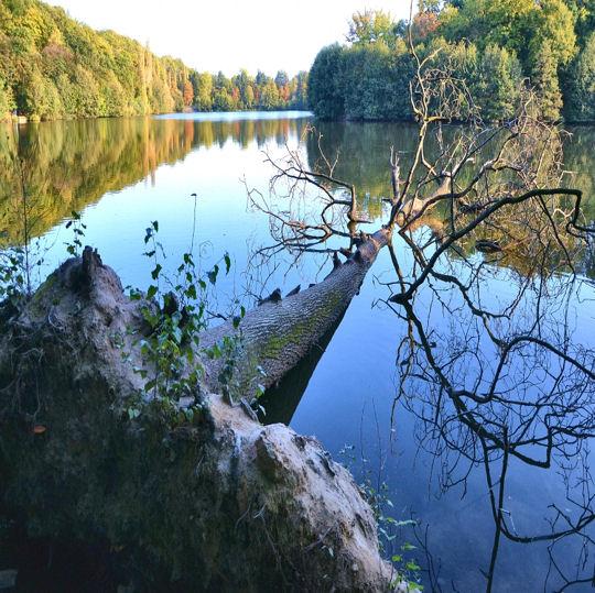 L’automne passe …