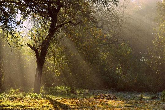 L’automne passe …