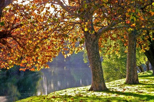 L’automne passe …