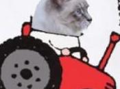 cochon Piotr tracteur