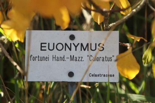 5 euo fort colo barres 21 oct 2011 180.jpg