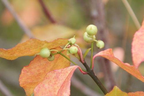 4 barres 13 oct 2012 146.jpg