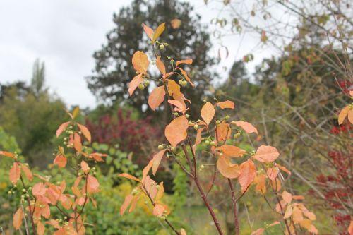 2 barres 13 oct 2012 148.jpg