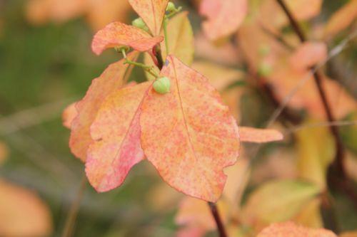 3 barres 13 oct 2012 147.jpg