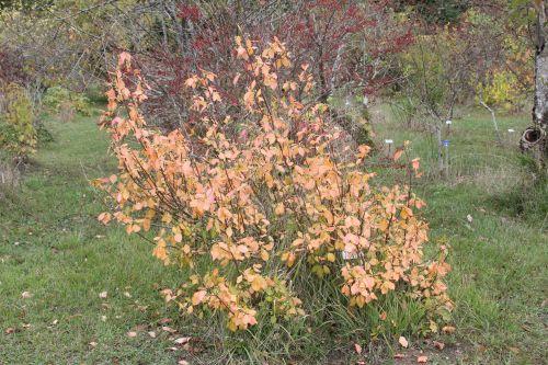 1 barres 13 oct 2012 149.jpg