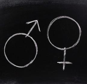 Egalité des sexes ou égalité des hommes?