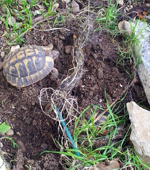 Douceur automnale : journal du 18 novembre 2012