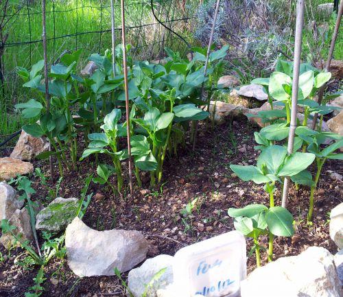 Douceur automnale : journal du 18 novembre 2012