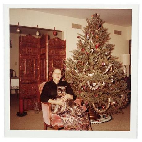 Les chiens en hiver !