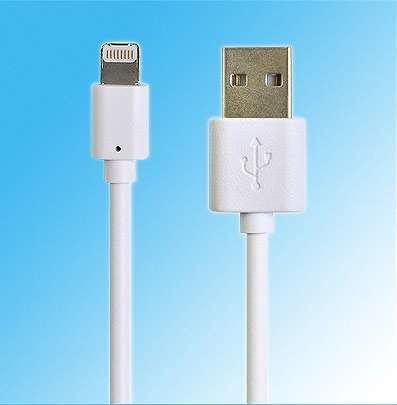 Câble Lightning vers USB et vers connecteur 30 broches à prix ultra compétitif