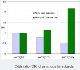 CANNABIS: Identification d’un gène de la psychose cannabique – Biological Psychiatry