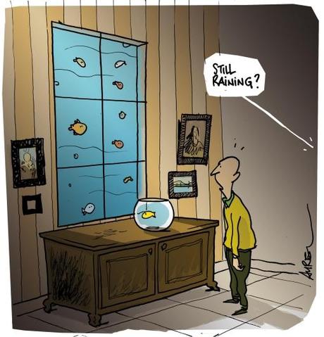 Ligne d’eau aux Pierres vives de Montpellier