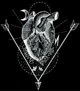 coilgunsne Coilguns / Never Void