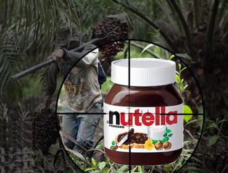 La taxe Nutella : haro sur l’huile de palme