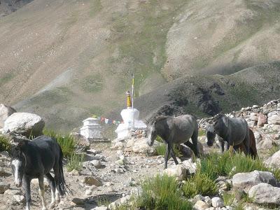 La montagne-mystère