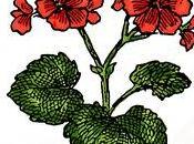 nouvelle impro Benjamin Nourri poème "2.70 émue larmes"