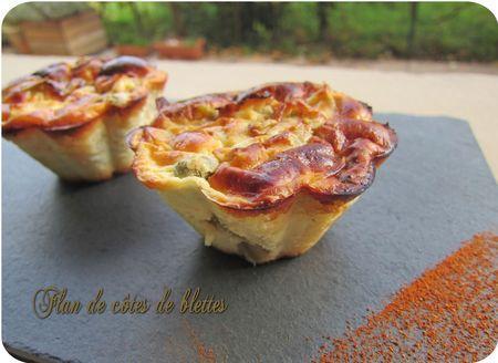 flans de cotes de blettes (scrap1)