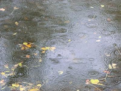 Boot camp Capra Paris - Run & Pull