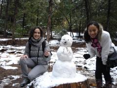 snowman, bonhomme, neige