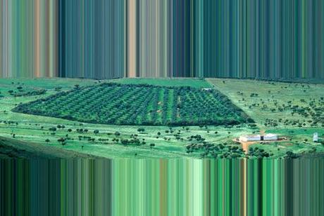 LES PHOTOS MANIPULEES DE ROBERT SCHLAUG