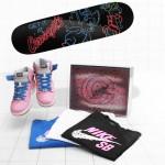 nike-sb-concepts-pigs-fly-dunk-high-1