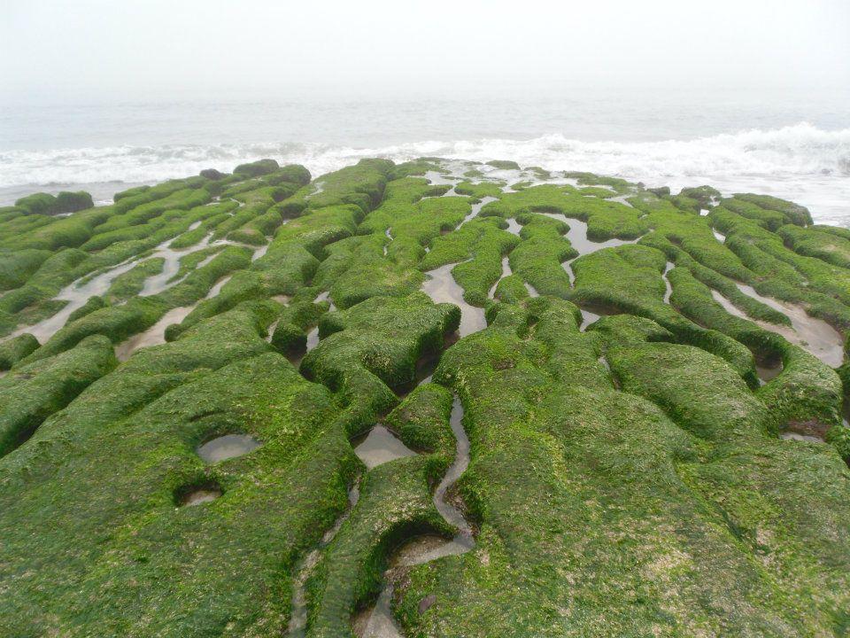 Lao Mei Green rock coast