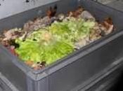 ARDE, vous propose découvrir deux modèles composteur