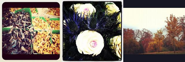 UNE VIE SOUS INSTAGRAM # 7