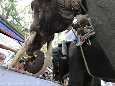 Surin, festival des éléphants 2012 Le banquet [HD]